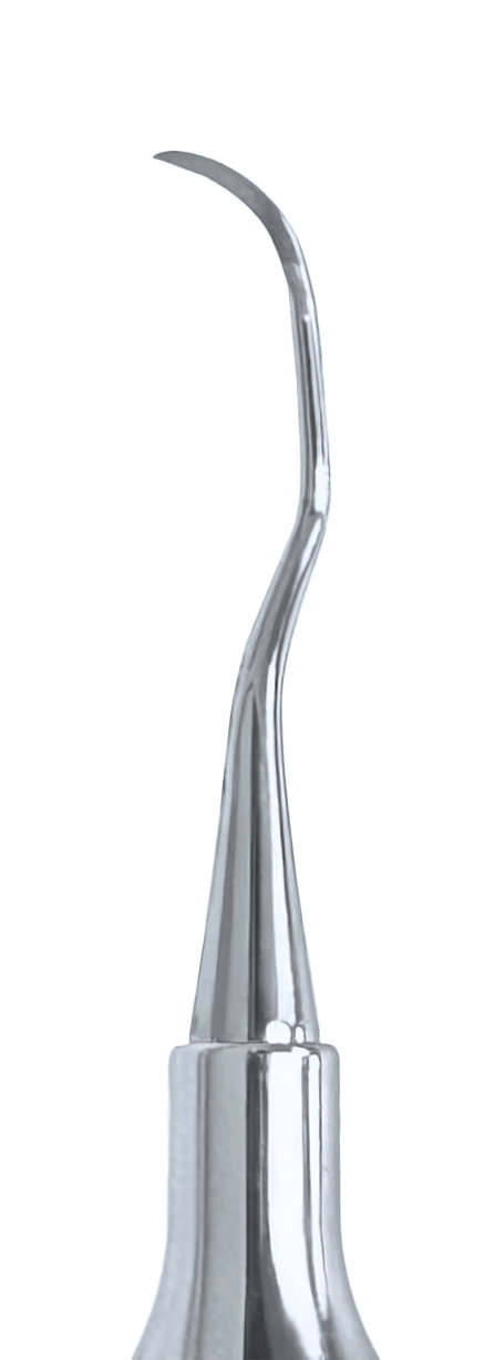 Scaler DE 204 Posterior #6 Handle