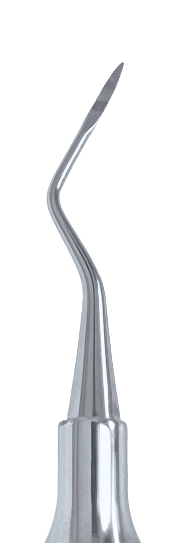 Scaler DE 204 Posterior #6 Handle