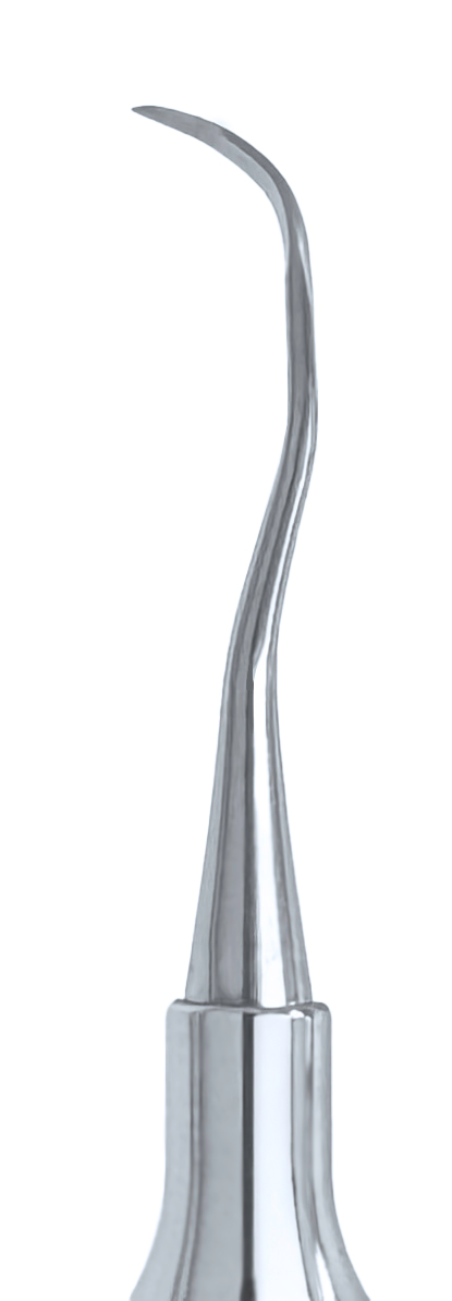Scaler DE 204 Posterior #6 Handle
