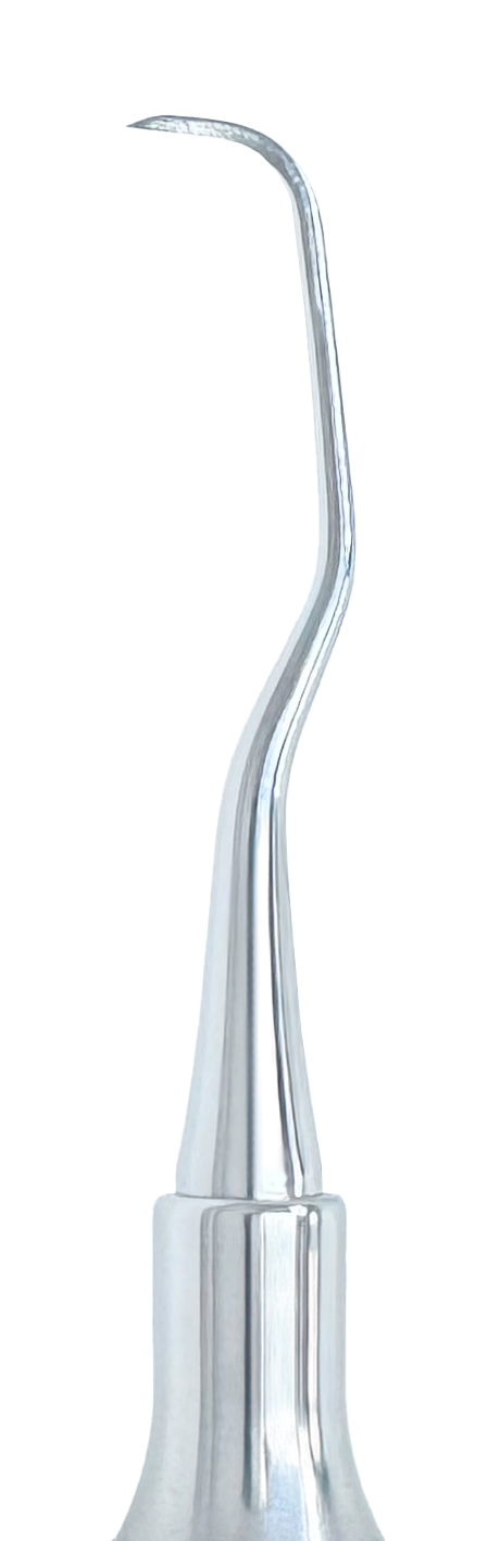 Curette DE Goldman-Fox #6 Handle (GF 5-6)