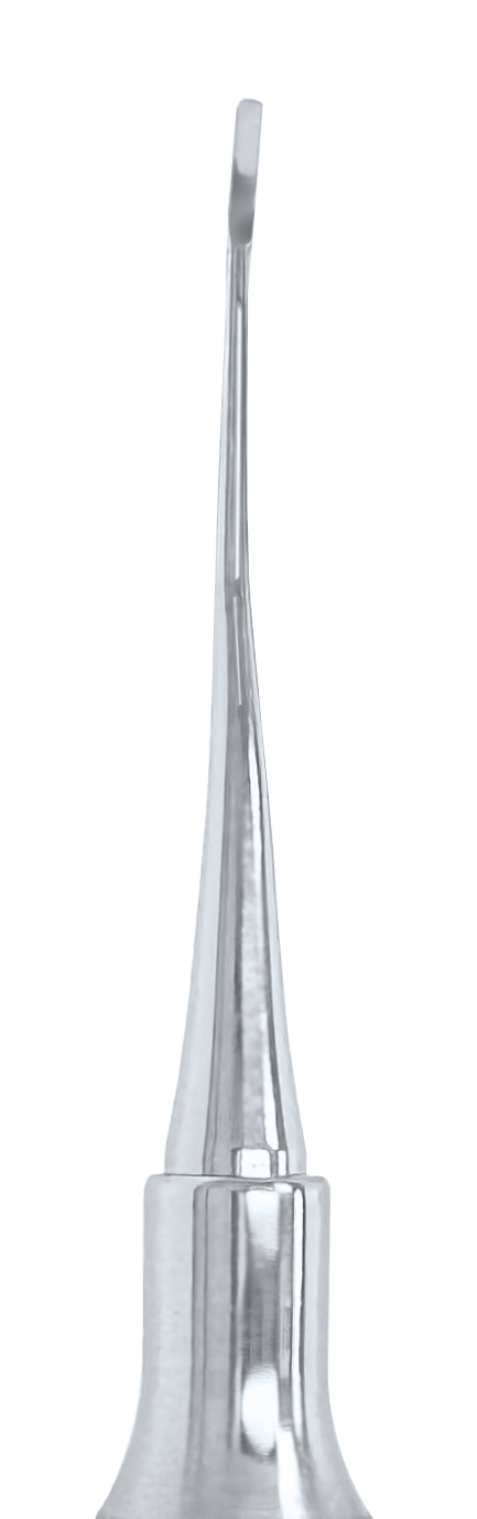 Curette DE Goldman-Fox #6 Handle (GF 5-6)