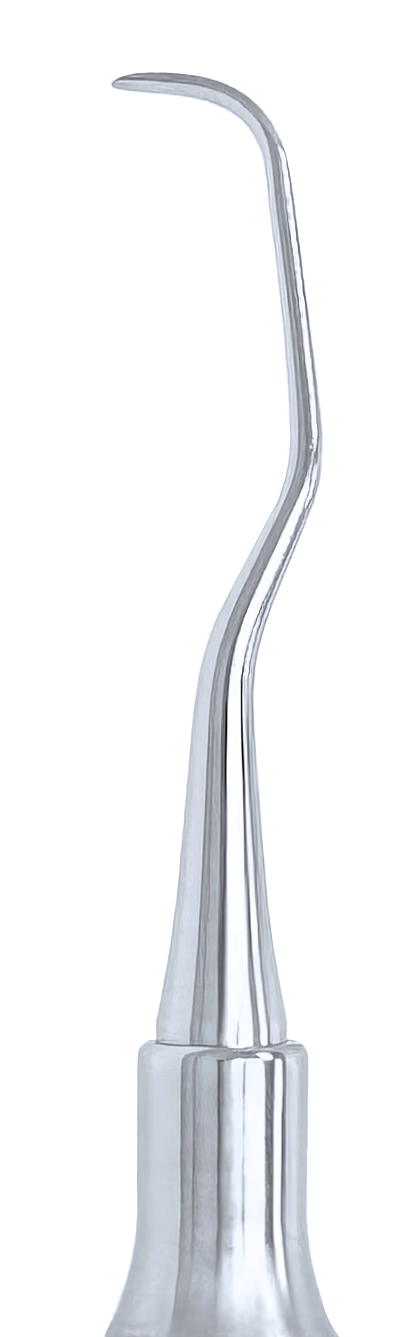 Curette DE Goldman-Fox #6 Handle (GF 5-6)