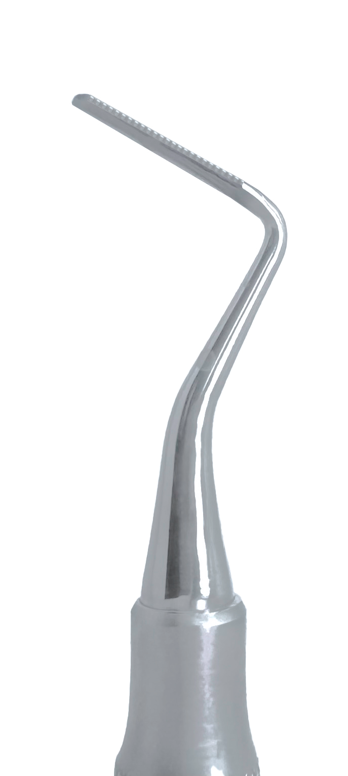 Universal Periotome #6 Handle (PT-1)